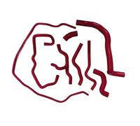 Upper Radiator Hose Pipe Compatible with Vw for Polo for Jin Qin 1.6L CDE AT 2002 2003 2004 2005 2006 Coolant Radiator Overflow Hose Pipe(Red)