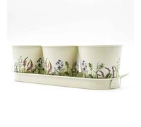 Upper Street British Gardening Company Set of 3 Metal Planters Windowsill Herb Kitchen Garden Succulent Plant & Flower Pots With Tray for Indoor & Outdoor for Mum, Nanny birthday Ideas (Wildflower)