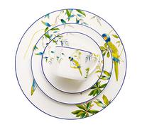 Upscale Bone China Dinnerware Sets, 48 Pcs Parrot Porcelain Dinnerware Sets, Over 36% Bone Meal Dish Set, Elegant Tableware