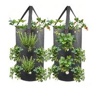 Upside Down Strawberry Planter | 3 Gallon Vertical - Large Capacity Tomato Grow Bags | for Peppers Carrots Vegetables Fruits Raspberry Outdoor Garden Yard