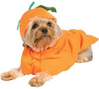UPSTAGED Punkin Pooch Petite Dog Costume