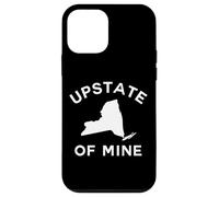 Upstate Of Mine New York Catskills Mountains Camping Hiking Case for iPhone 12 mini