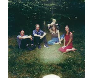 UPSTATE YOU ONLY GET A FEW (US IMPORT) VINYL LP NEW