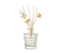 Upstore 150 ml Empty Clear Glass Reed Diffuser Bottle, Fragrance Container | Reusable, Stable, Decorative Vase, Essential Oil Diffuser Container for DIY Aroma Blend, Tabletop Accent, Centerpiece Display