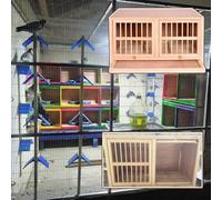 Upturned Double-door Bird Breeding Box, Carrier Pigeon Pairing Cage With Pull-out Feces Tray, Solid Wood Outdoor Racing Nest Box Pigeon Cage(Natural*1pcs)
