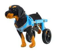 UPWONEC Dog Wheelchair Pet Assistive Vehicle, Hind Limb Disability Paralysis Walker, Hind Leg Support Two Wheels, Help Dogs Walk, Conducive To Dog Recovery,M