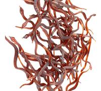 Uqezagpa 100 Count Artificial Flexible Roaches Portable For Halloweens Tricks Ornament And Children's Entertainment Decorations