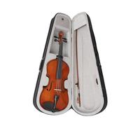 Uqezagpa 4/4 Acoustic Viola with Bows & Carrying Case Spruce Solid Wood Panel Natural Viola Stringed Musical Instrument