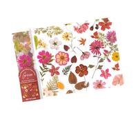 Uqezagpa 5Pcs Natural Dried Flower Plant Bookmarks Clear PET Bookmarks Page Divider Dried Flower Leaf Book Marker for Book