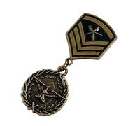 Uqezagpa Antique Enthusiast Badge Historical Value Collectible Emblems Badge Metal Pin for Clothes