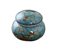 Uqezagpa Artistic Ceramic Urn Ashes Holder for Pet Ashes Human Cremation Elegant and Heartfelting Home Shelf Display Pet Urn