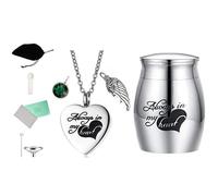 Uqezagpa Delicate Colorful Pet Ashes Heart Shape Necklace And Cinerary Caskets Safeguards Preciously Memory For Dead Cats Dogs Urn Necklaces For Ashes Urn Necklaces Pet
