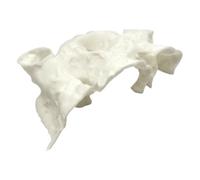 Uqezagpa Instants Sinking Aquariums Decors With Observation Holes To Reduce Aggression In Freshing Saltwater Fish Tanks Ornament Aquascapes Enhancement Cave