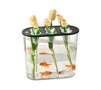 Uqezagpa Transparents Hydroponic Container for Plant Cultivation and Root Visualization in Domestic Spaces Water Culture