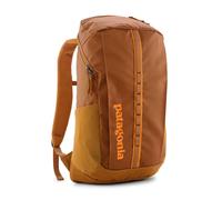 Patagonia Black Hole 25 | Backpack | yellow