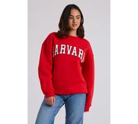 Urban Bliss Harvard Oversized Sweatshirt - L