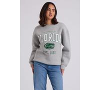 Urban Bliss Women's Florida Oversized Sweatshirt in Grey | Size: Large Urban Bliss Grey L