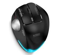 Urban Factory BT/2.4 ERGO TRACKBALL MOUSE W TILT