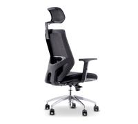 Urban Factory ERGO: ERGONOMIC ADJUSTABLE WORKING CHAIR