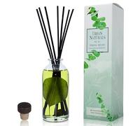 Urban Naturals Eucalyptus Spearmint STRESS RELIEF Aromatherapy Diffuser Gift Set | Fragrance your Space | Fresh Scented Room Freshener + Home Decor | Home Gift Idea. Vegan.