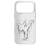 Urban Street Art Fighter Sidekick Roundhouse TaeKwonDo Case for iPhone 17 Pro Max