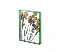 UrbanHui Acrylic Memory Box Clear Keepsake Display Storage Frame for Dried Flowers Postcards Tickets Large 26x31cm DIY Decor Home Office Showcase(Green)