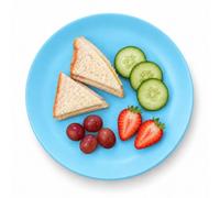 URBN-CHEF Set of 6 Reusable Plastic Plates Small Outdoor Dining (Blue) | Food Safe Plastic, Raised Rim, Dishwasher And Microwave Safe, Reusable For Picnics And BBQs, D21xW21xH2cm