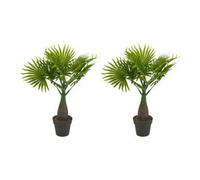 Urbn-Living Fan Leaf, Set Of 2 - Artificial Faux Palm Tree -1-2 Pack