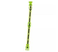 Urbn-Living Green - Small Nylon Adjustable Dog Collars - 25Cm - 40Cm