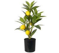 Urbn-Living Urbnliving 36Cm Height Artificial Citrus Lemon Citron Fruit Tree In Pot Indoor Home Office Decor