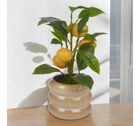 Urbn-Living Urbnliving 39Cm Height Artificial Citrus Lemon Fruit Tree & Ceramic Tube Design Beige Gloss Flower Pot