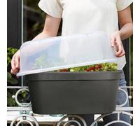 Urbn-Living Urbnliving 43Cm Length Flower Herb Propagator Balcony Railing Windowsill Greenhouse Hydroponics