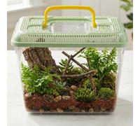 URBNLIVING Plastic Reptile Terrarium Transport Box | Snake, Spider, Tarantula & Insect Carrier | Small Animal & Fish Tank Container - Green