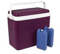 URBNLIVING 24L Cooler Box Insulated Picnic Cool Box with Carry Handle Ice Pack Divider Camping Beach BBQ Food & Drinks Storage (Purple - With 2 Ice Packs)