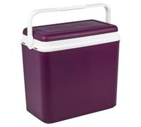 URBNLIVING 24L Cooler Box Insulated Picnic Cool Box with Carry Handle Ice Pack Divider Camping Beach BBQ Food & Drinks Storage (Purple - Without Ice Packs)