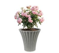 URBNLIVING Large Flower Shaped Plastic Plant and Flower Pot Planters Garden Outdoor Decor (1, Grey)