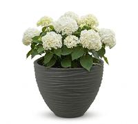 URBNLIVING Large Round Stone Effect Plant Pot - Modern Outdoor & Indoor Planter, Durable Wide-Opening Garden Décor (SYLT Black)