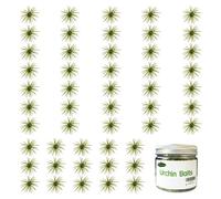 Urchin Baits(A-Pumpkin Green, 1.5in-50pcs)