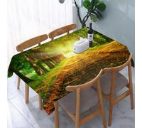 UREJD Table Cloth Rectangle 60x90 in Wipe Clean Tablecloth Water Resistant Table Cover for Kitchen,magic light at the and of walkway in autumn park,Party Decorations