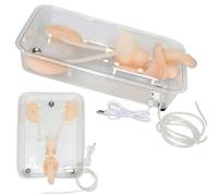 Ureteroscopy Training Model, Silicone Kidney Model, Ureteroscopic Simulator, Manikin Anatomy Model, Urinary Endoscopy Model, Practice Training Medical Model, for Nurse, Medical Students, Doctors