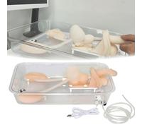 Ureteroscopy Training Model, Urinary Organ Model, Silicone Kidney Model, Manikin Teaching Model, Urinary Endoscopy Simulator, Practice Training Medical Model, for Nurse, Medical Students, Doctors