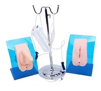 Urethral Catheterization Training Model for Medical Education, Healthcare Practice, Basic Care Simulation for Female and Male Anatomy