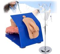Urethral Healthcare Model, Male Female Catheterization Enema Manikin Model With Stable Base Support, Manikin Catheter Model, High Simulation for Medical Skills Teaching and Practice