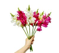 Urier Artificial Delphinium Flowers,Artificial Silk Flowers Hyacinth,Silk Flowers with Stems,Faux Flower Stems for Wedding,Party,Floral Arrangements Home Centerpiece Table Decoration (6, White Red)