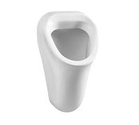Urinal Bowl VitrA Options/Arkitekt Rear entrance 315x310x13,6mm Glossy White