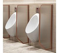 Urinal PartitMetal & Frosted s for Restroom Decor Persona Enhancement and Modern Bathroom Design