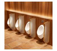 Urinal Privacy Screen Partition,Translucent Toilet Partitions,Wall-Mounted,Suitable for Public Spaces Such As Hotels, Schools, and Shopping Centres(Gold,2 PCS)