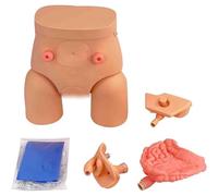 Urinary Catheterization Model, Interchangeable Male and Female Manikin Nursing Practice Simulator, for Nursing Medical Training