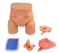 Urinary Catheterization Model, Interchangeable Male and Female Manikin Nursing Practice Simulator, for Nursing Medical Training