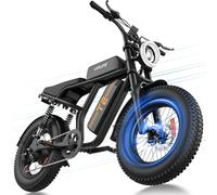 URLIFE 20 * 4" Fat Tire Electric Bikes for Adults, Ebike 48V 15.6Ah Removable Battery, 120 KM Range, Electric Mountain Bike with Colorful LCD, All-Terrain E-MTB (Standard, BLACK)